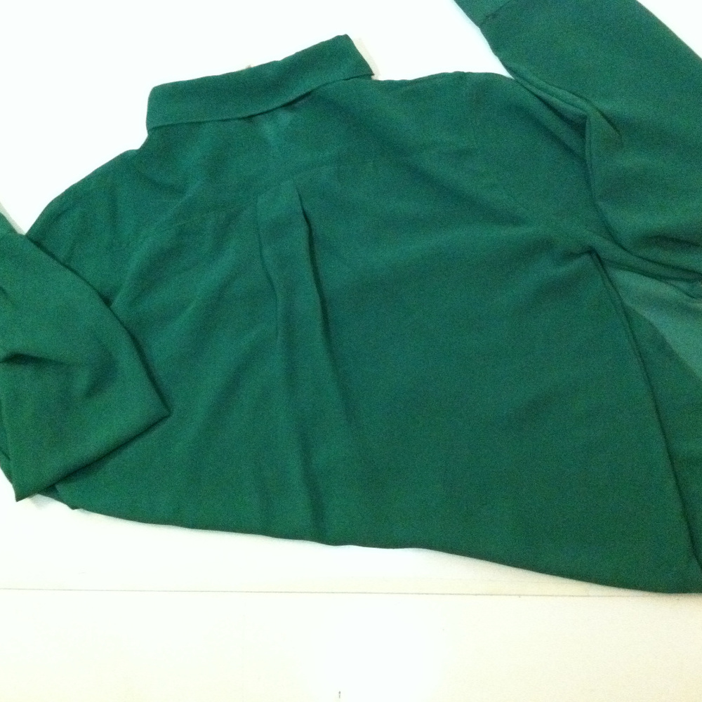 Sheer Button Down - Picture 5 of 6